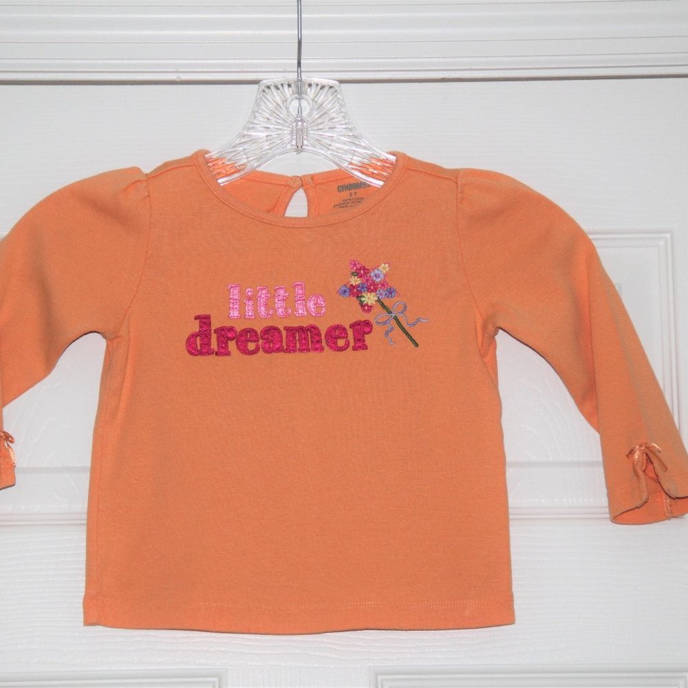 Gymboree NWOT Pumpkin Long Sleeve Girls Top 2T
